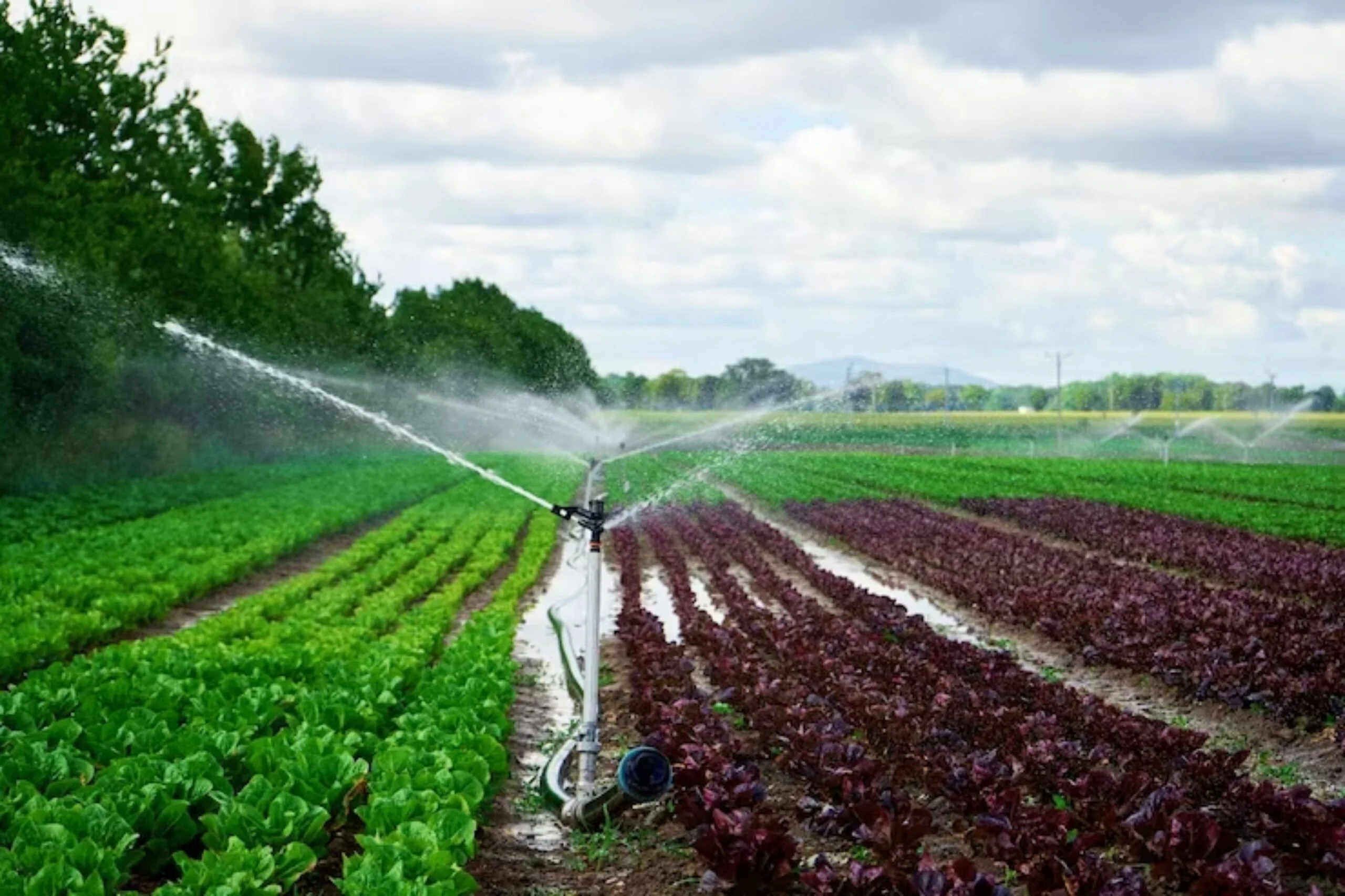 Especialista em Sistema de Irrigação Central e Outros Sistemas de Irrigação