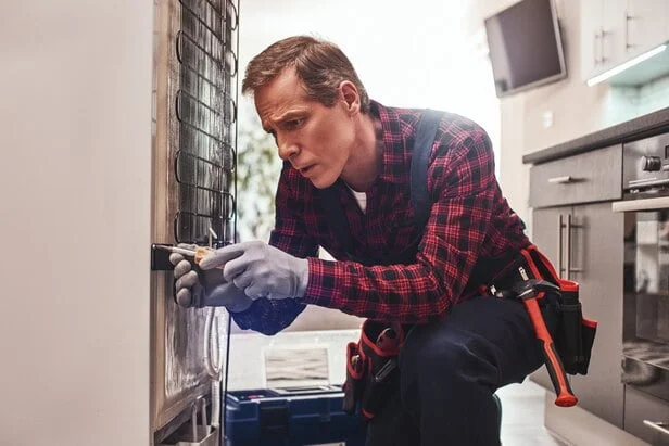 Manutenção e Reparo de Refrigeração Doméstica
